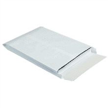 Expandable Ship-Lite Envelopes